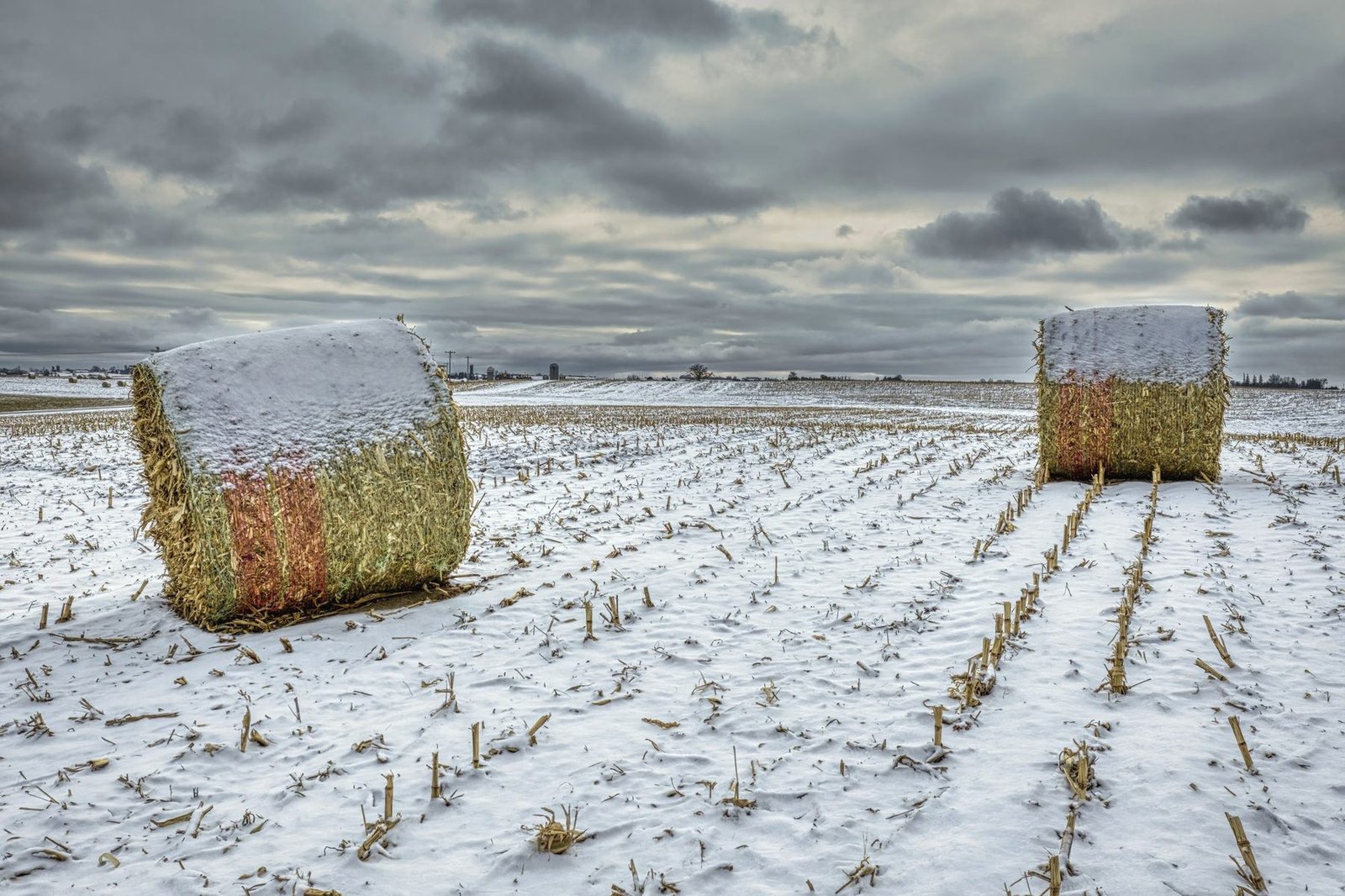 Two round bales sitting in snowy crop stubble under a heavy sky