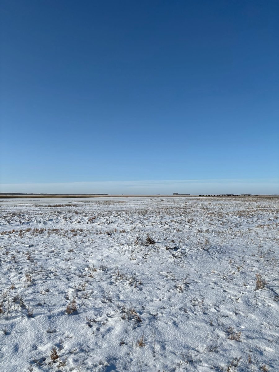 Flat snow-covered field meeting a hard blue winter sky